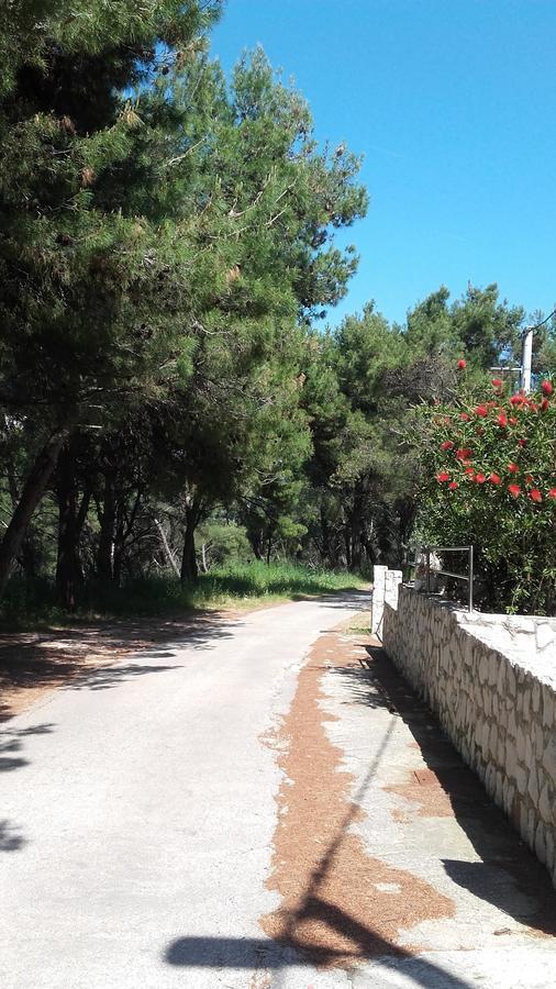 Villa Mateja Donji Okrug Exterior foto